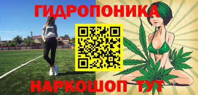 мдпв Обь