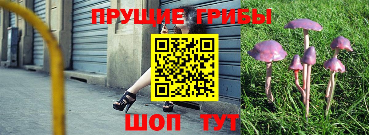 Галлюциногенные грибы мухоморы Семилуки