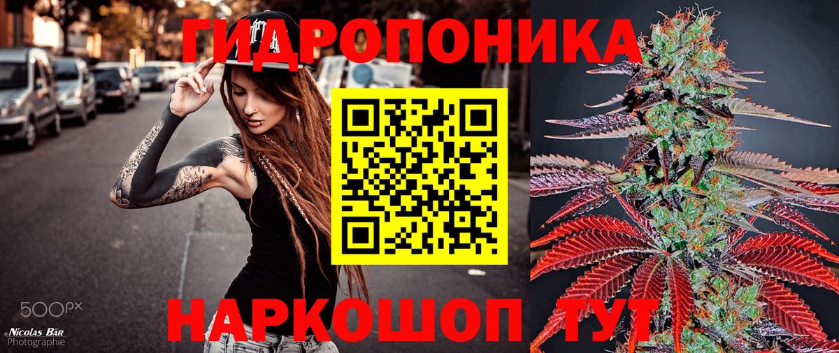 Семилуки  Бошки марихуана семена  Вход с VPN  МАРИХУАНА OG Kush  Бошки Шишки индика 
